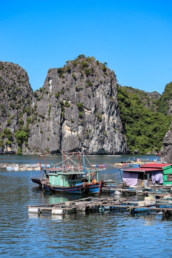 Comment profiter des croisières fluviales pour découvrir des festivals locaux ?